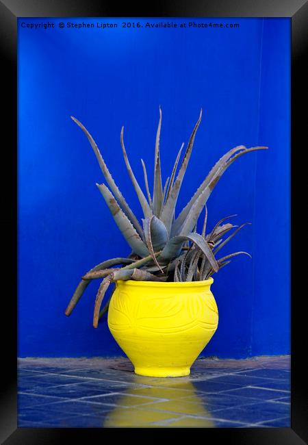 Yellow Pot, Marrakech Framed Print by Stephen Lipton
