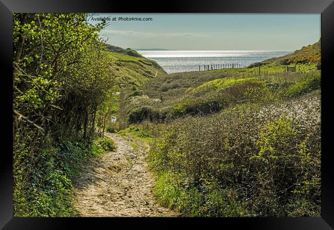 View towards the sea at Monknash Glamorgan Coast Framed Print by Nick Jenkins