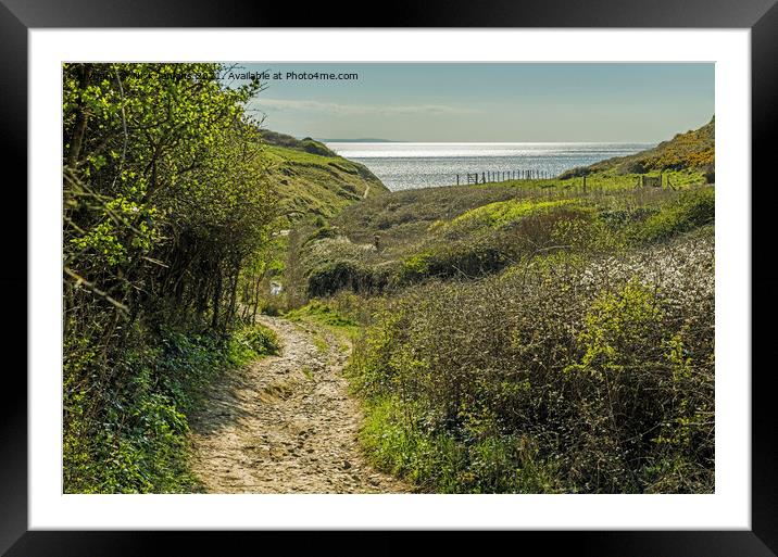 View towards the sea at Monknash Glamorgan Coast Framed Mounted Print by Nick Jenkins
