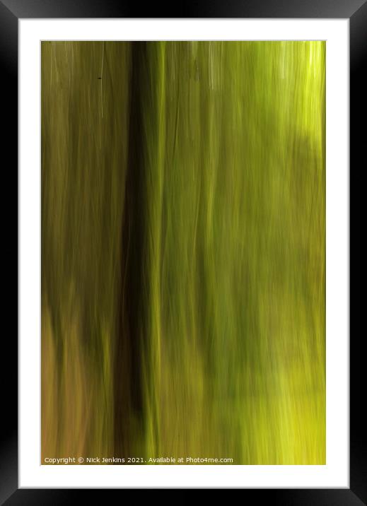Blurred Pine Trees in Hensol Forest in the Vale of Framed Mounted Print by Nick Jenkins