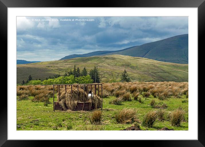 Howgill Fells Landscape with Comfy Lamb  Framed Mounted Print by Nick Jenkins