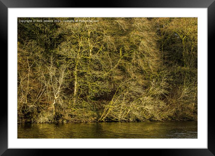 Winter Trees at Pentwyn Reservoir December  Framed Mounted Print by Nick Jenkins