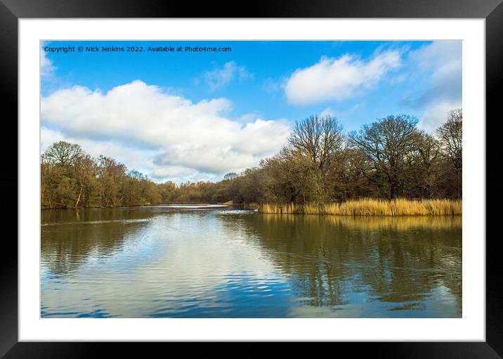 Cannop Pond Forest of Dean Gloucestershire Framed Mounted Print by Nick Jenkins