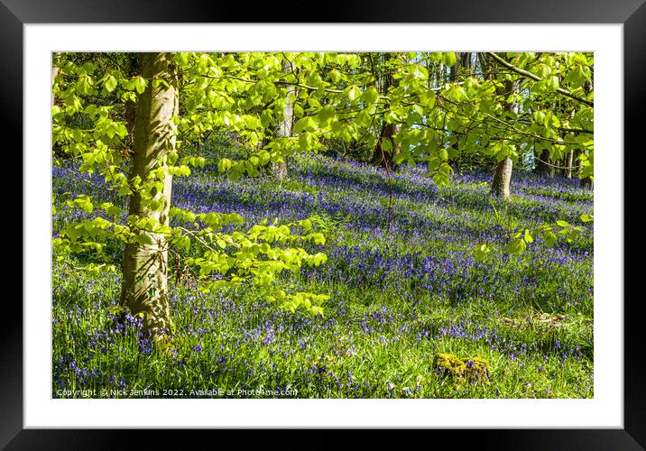 Bluebell Woods at Coed Cefn above Crickhowell  Framed Mounted Print by Nick Jenkins