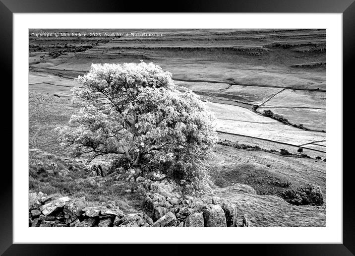 Twissleton Scar and Ash Tree Opposite Ingleborough Dales  Framed Mounted Print by Nick Jenkins