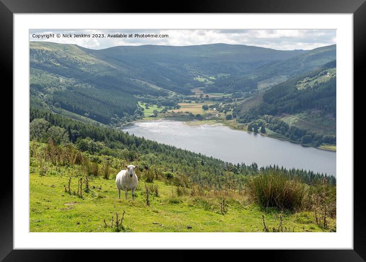 Talybont Valley Brecon Beacons National Park  Framed Mounted Print by Nick Jenkins