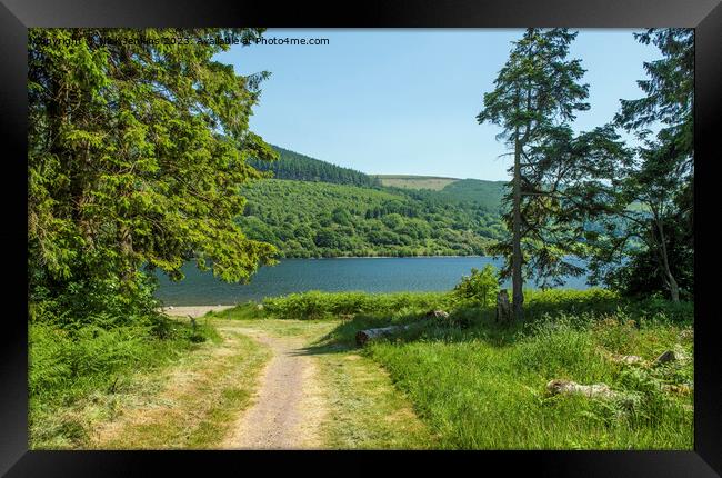 Part of the Talybont Reservoir in the Brecon Beacons Framed Print by Nick Jenkins