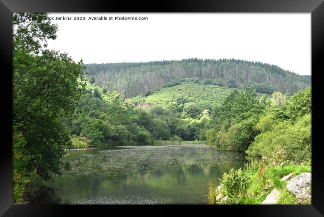 Pond at Clydach Vale Rhondda Valley South Wales Framed Print by Nick Jenkins