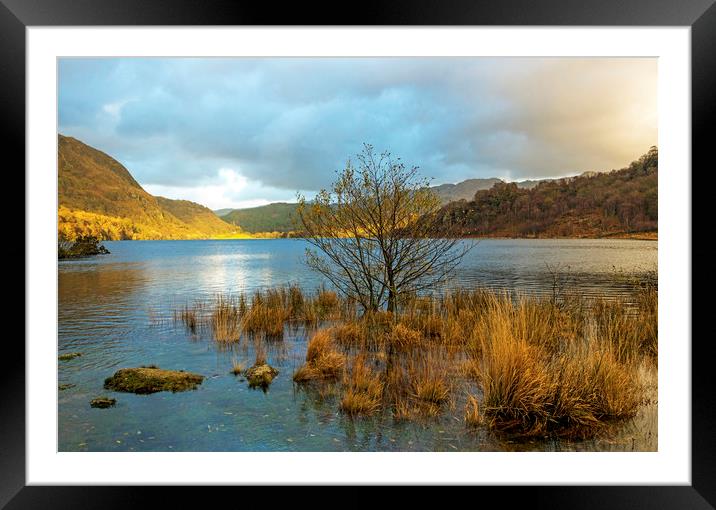 Top end of Llyn Dinas in Snowdonia National Park  Framed Mounted Print by Nick Jenkins