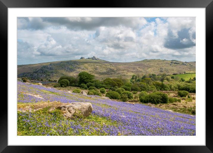 Holwell Bluebell Lawns/Fields Dartmoor Devon Framed Mounted Print by Nick Jenkins