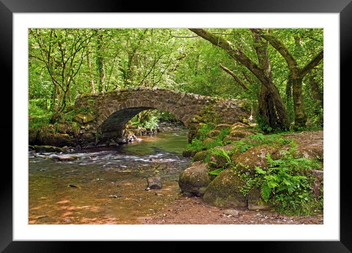 Hisley Packhorse Bridge Dartmoor National Park Framed Mounted Print by Nick Jenkins