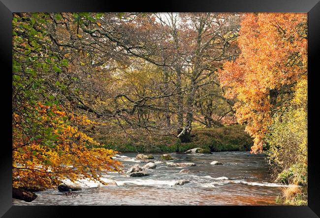 Where The East and West Dart Rivers Meet on Dartmo Framed Print by Nick Jenkins