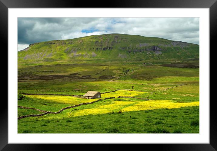 Pen y Ghent and Barn Yorkshire Dales National Park Framed Mounted Print by Nick Jenkins