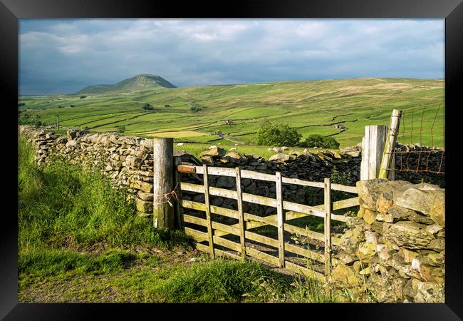 Across Ribblesdale to Pen y Ghent on a sunny day  Framed Print by Nick Jenkins