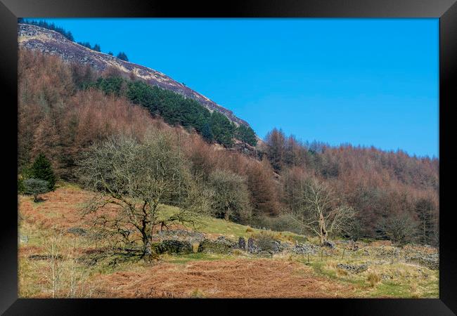 Farm Ruins above Blaenrhondda,  the Rhondda Valley Framed Print by Nick Jenkins