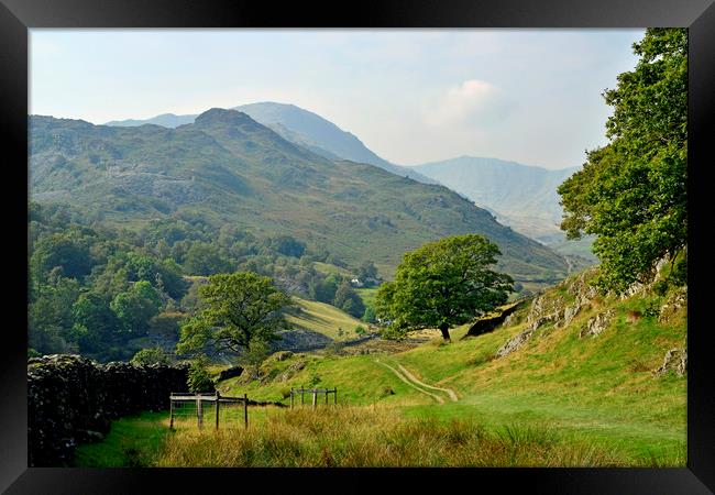 The Little Langdale Valley Lake District Cumbria Framed Print by Nick Jenkins