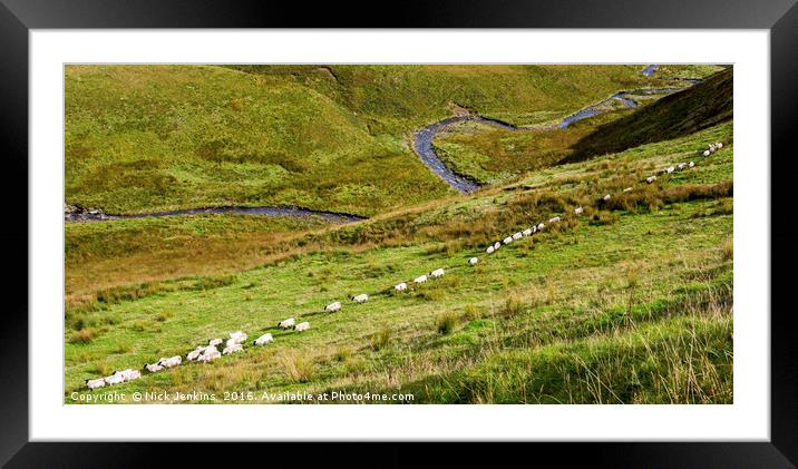 A straight line of Sheep and the River below Wales Framed Mounted Print by Nick Jenkins