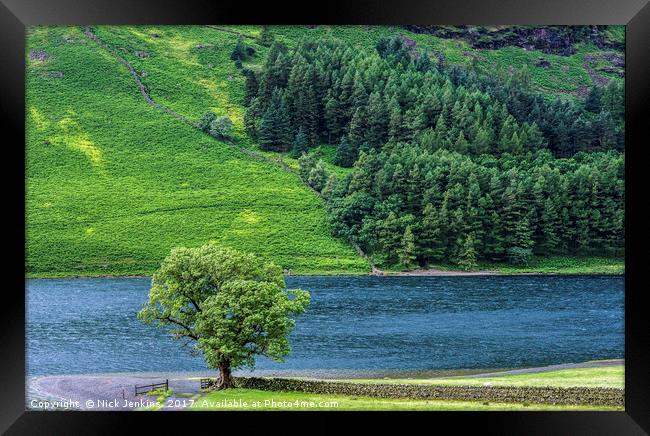 The Lonely Tree at Buttermere in the Lake District Framed Print by Nick Jenkins