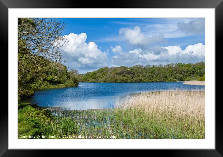 Bosherston Lily Ponds Pembrokeshire in Spring Framed Mounted Print by Nick Jenkins
