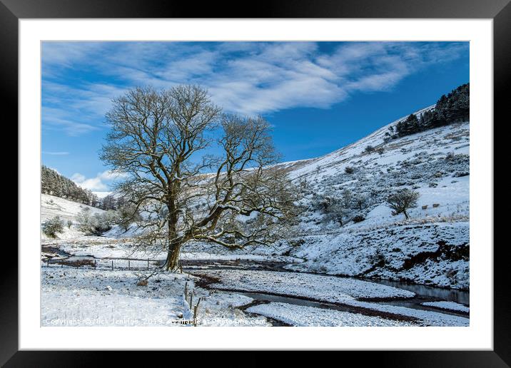 The Oak Tree at Cwm Crew Brecon Beacons Framed Mounted Print by Nick Jenkins