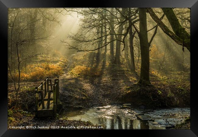Forest of Dean Light and Shadow 2  Framed Print by Nick Jenkins