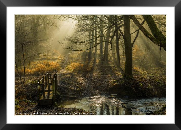 Forest of Dean Light and Shadow 2  Framed Mounted Print by Nick Jenkins