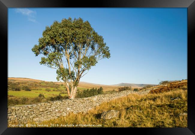 Eucalyptus Tree Brecon Beacons South Wales Framed Print by Nick Jenkins