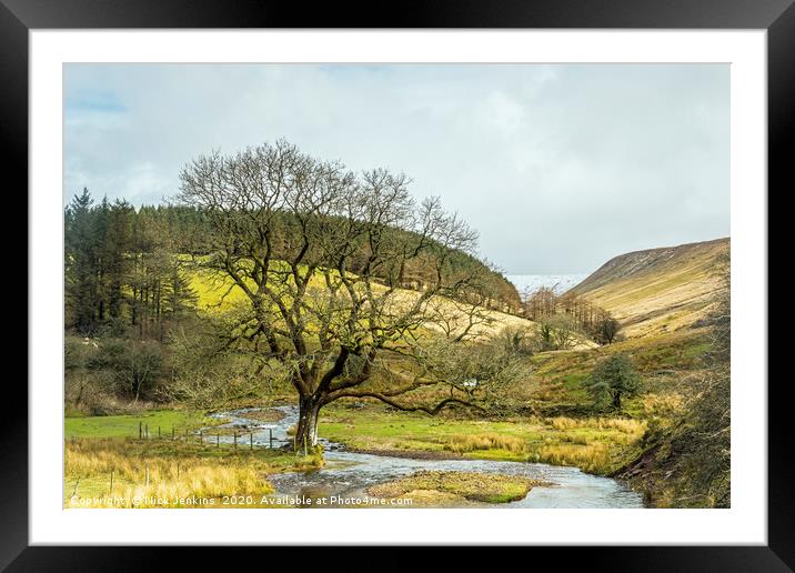Cwm Crew and Oak Tree Brecon Beacons Framed Mounted Print by Nick Jenkins