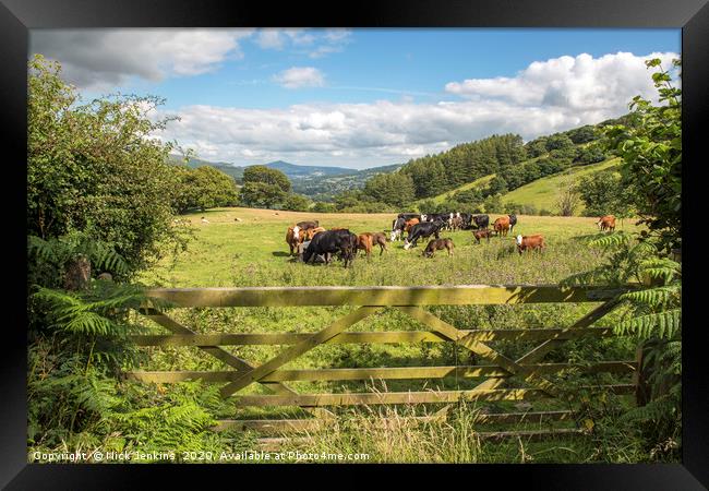 Upland Farming Central Brecon Beacons in summer Framed Print by Nick Jenkins