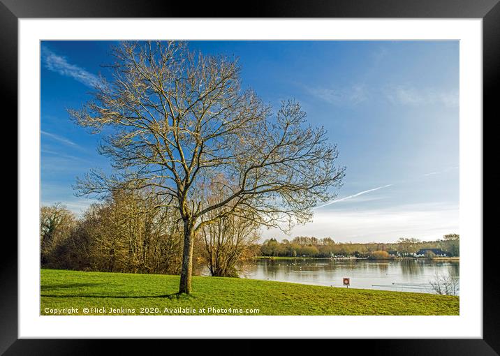 Cosmeston Lakes Country Park Penarth south Wales Framed Mounted Print by Nick Jenkins