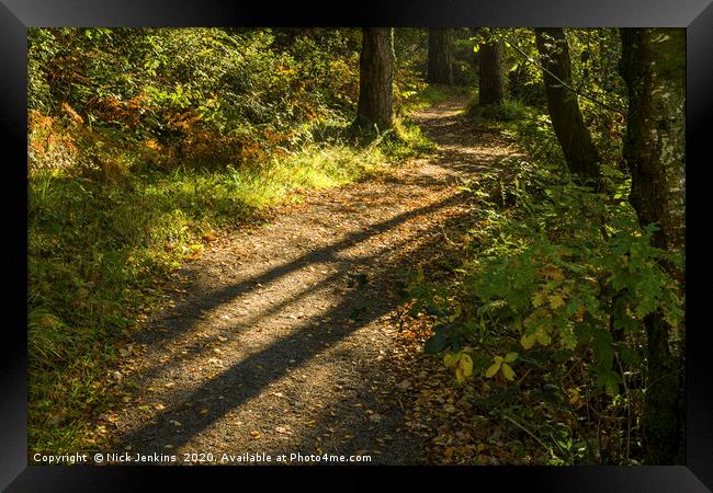 Long Shadows of Autumn at Hensol Forest  Framed Print by Nick Jenkins