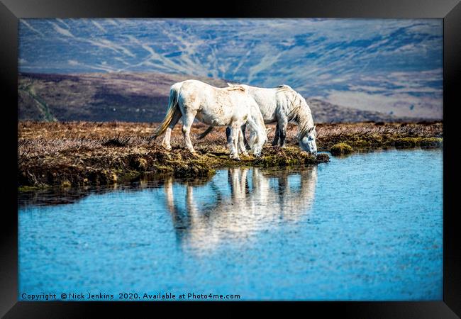 Two White Horses Mynydd Llangorse Brecon Beacons Framed Print by Nick Jenkins