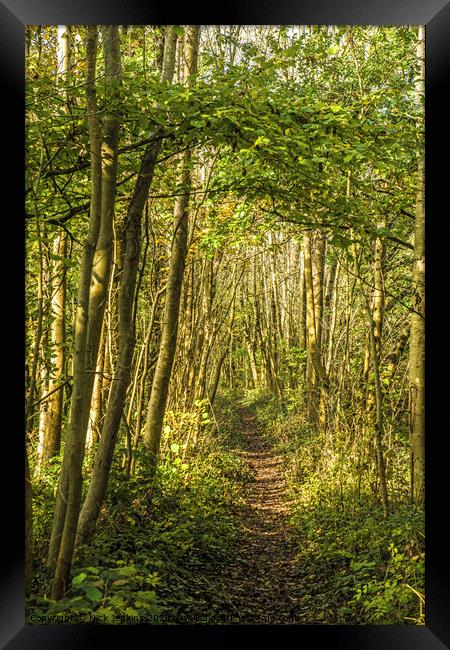 The pathway through the woods in south Wales Framed Print by Nick Jenkins