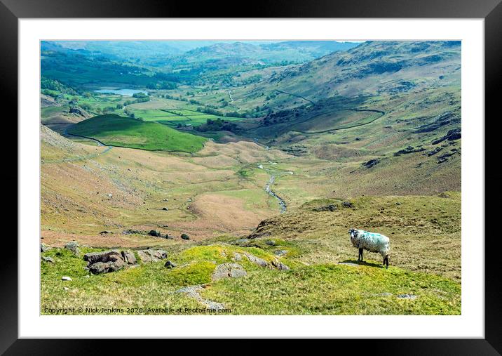 Little Langdale Tarn from Wrynose Pass Lakeland   Framed Mounted Print by Nick Jenkins