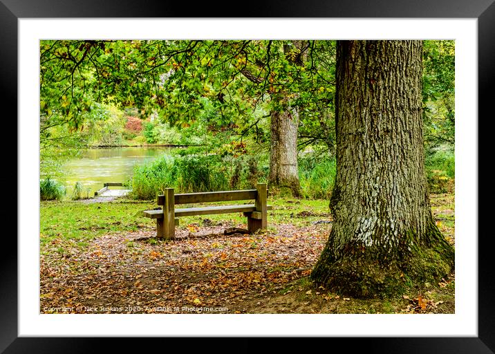 Cannop Ponds in the Forest of Dean Gloucestershire Framed Mounted Print by Nick Jenkins