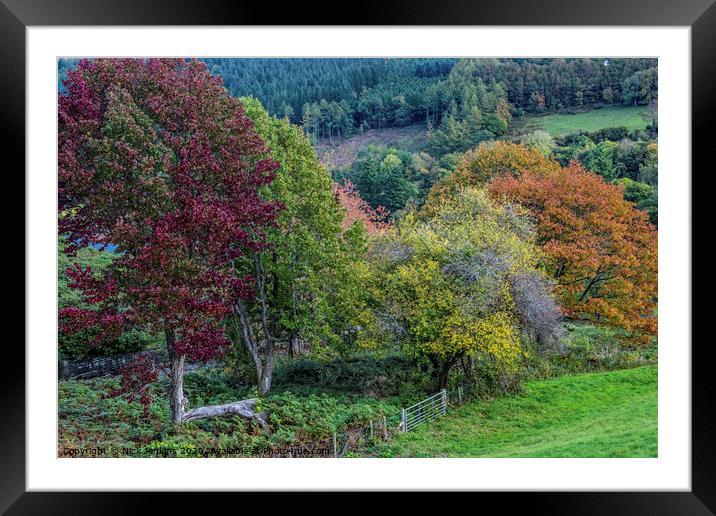 Autumn in the Talybont Valley Brecon Beacons Wales Framed Mounted Print by Nick Jenkins