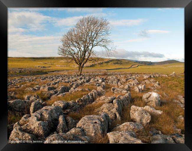 Solitary Tree above Malham Framed Print by Nick Jenkins