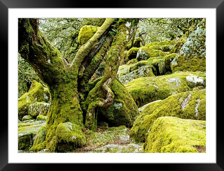 Wistmans Wood on Dartmoor near Two Bridges Framed Mounted Print by Nick Jenkins