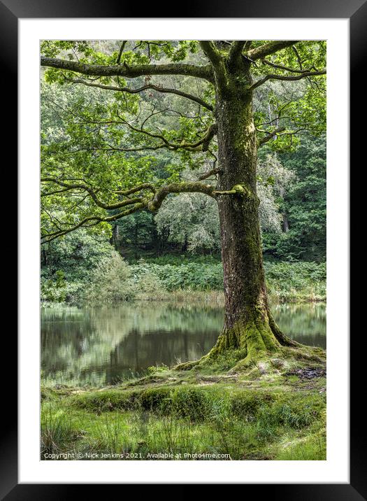 A walk around Yew Tree Tarn in the Lake District  Framed Mounted Print by Nick Jenkins