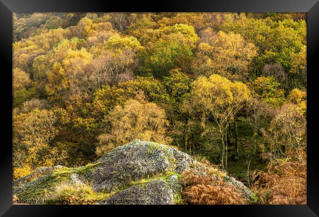 Dinas Woods in Autumn Upper Tywi Valley  Framed Print by Nick Jenkins