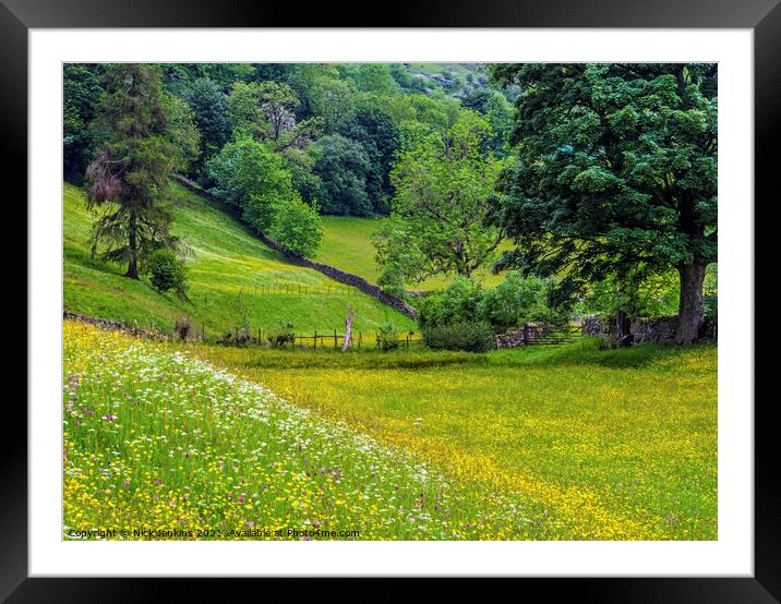 Summer Flower Meadows in June Muker Swaledale  Framed Mounted Print by Nick Jenkins