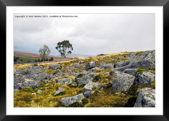 The Eucalyptus Tree Brecon Beacons South Wales Framed Mounted Print by Nick Jenkins