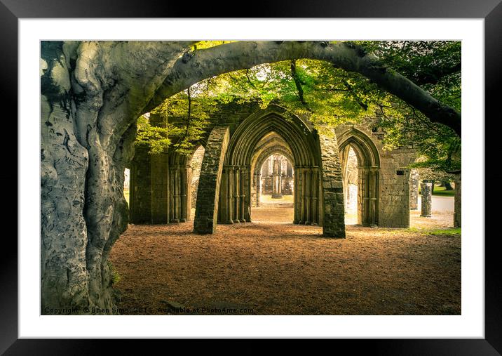 Into the Woods Framed Mounted Print by Brian Sims