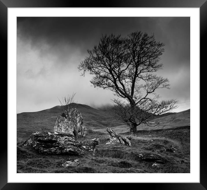 Lone tree in Scottish Highlands Framed Mounted Print by Paul Huddleston