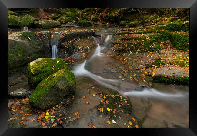 Leaves in the flow for the Clydach falls Framed Print by Eric Pearce AWPF