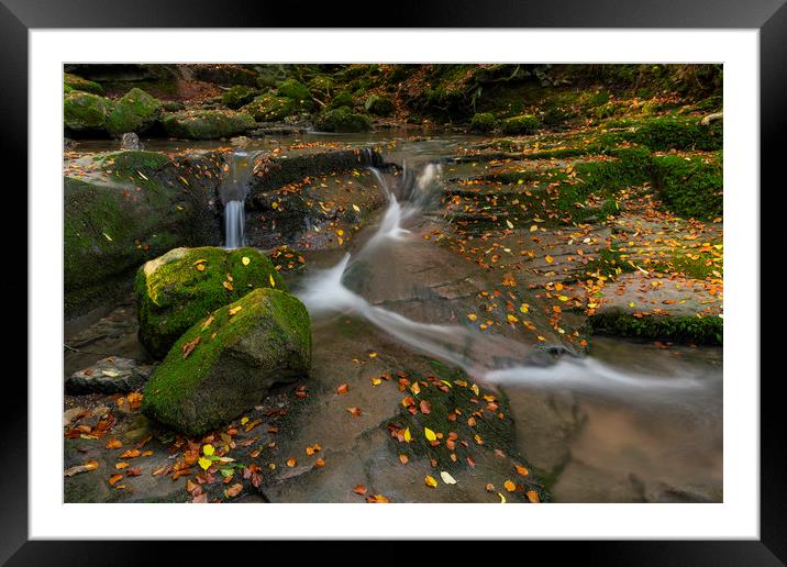 Leaves in the flow for the Clydach falls Framed Mounted Print by Eric Pearce AWPF
