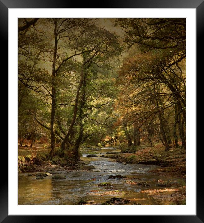 River Walkham  Framed Mounted Print by Paul Fine