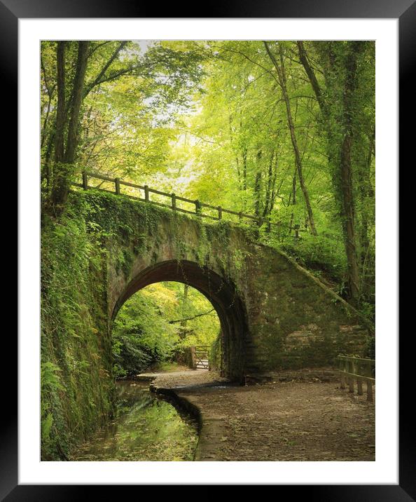 Under the bridge  Framed Mounted Print by Paul Fine