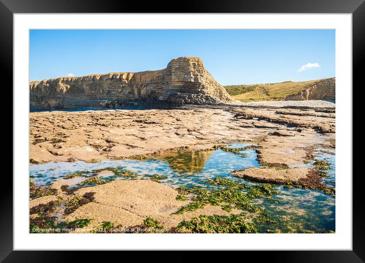 Nash Point, Marcross Framed Mounted Print by Heidi Stewart