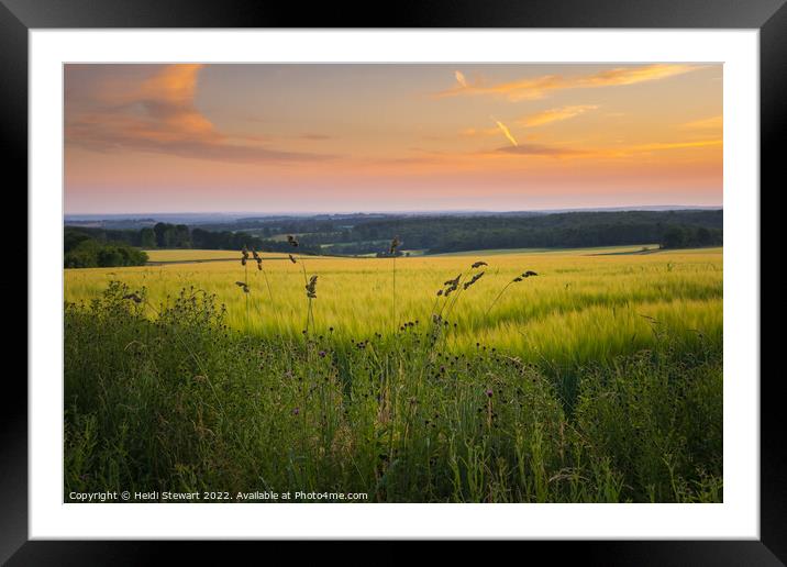Hampshire Wheat Fields Framed Mounted Print by Heidi Stewart